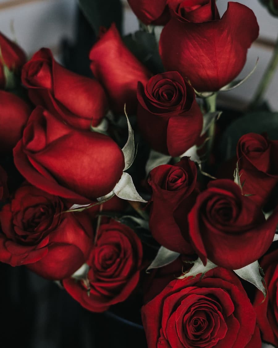 Valentine's collection