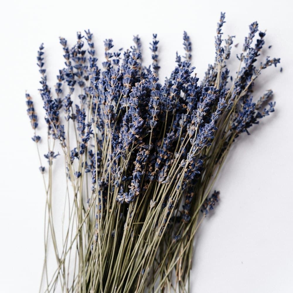 Lavender Bundle — 17" flocked poly floret