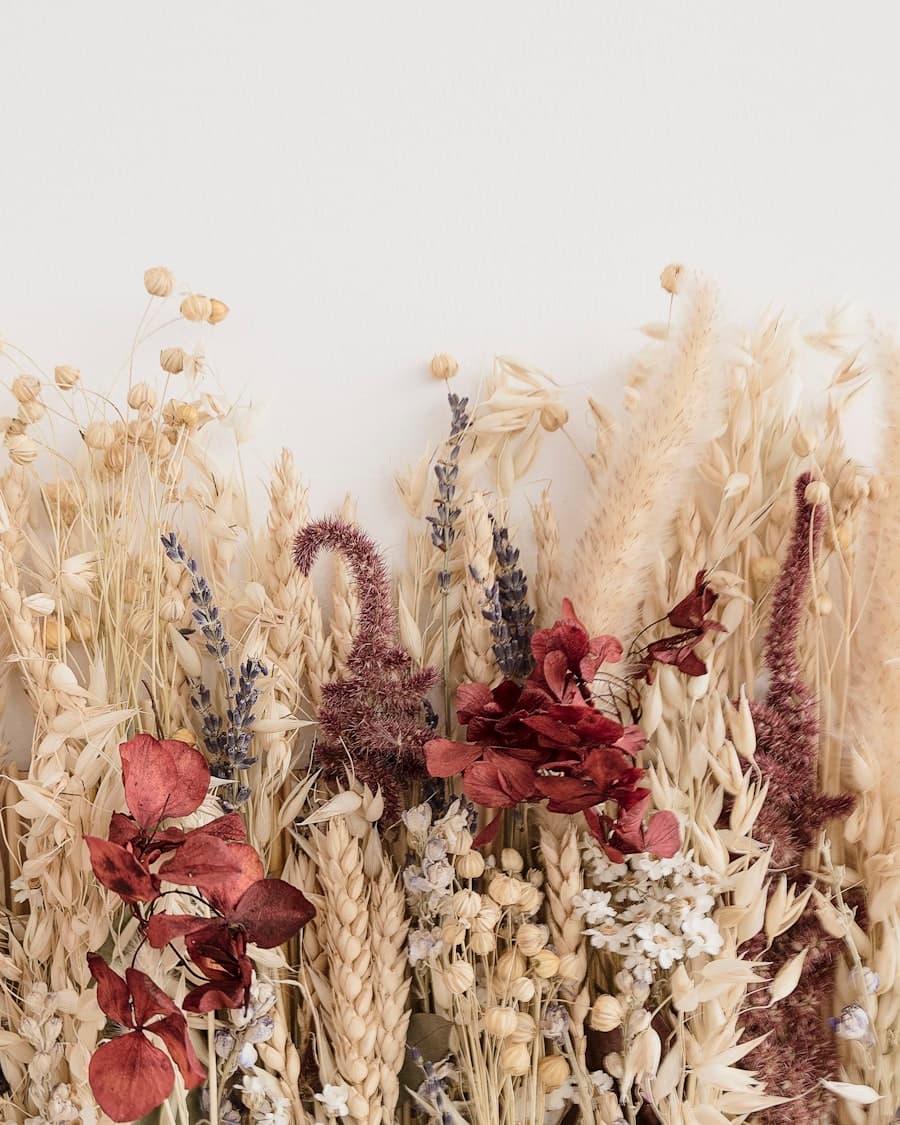 Fall & Harvest collection