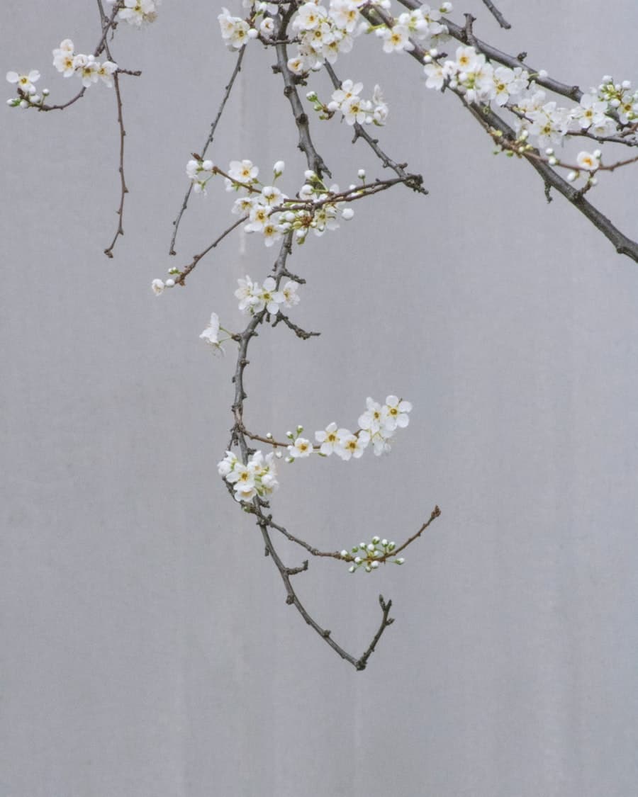 Spring collection